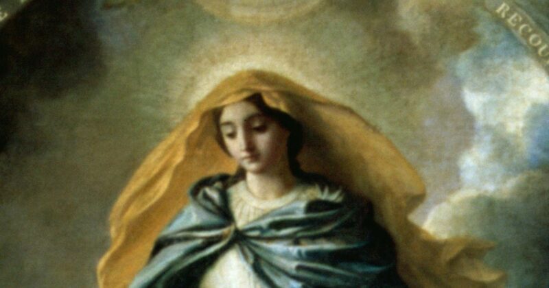 Solemnity of the Immaculate Conception Mass Times